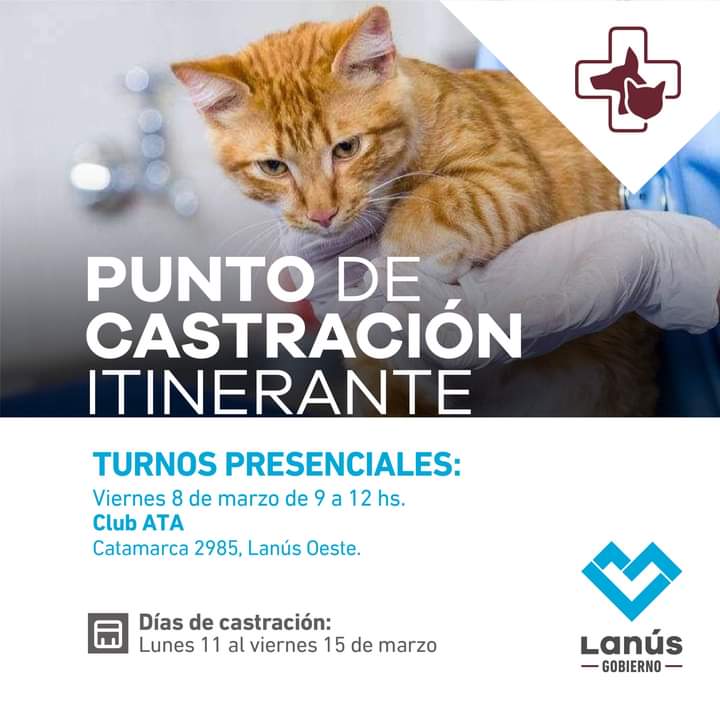 Nuevo punto de castración